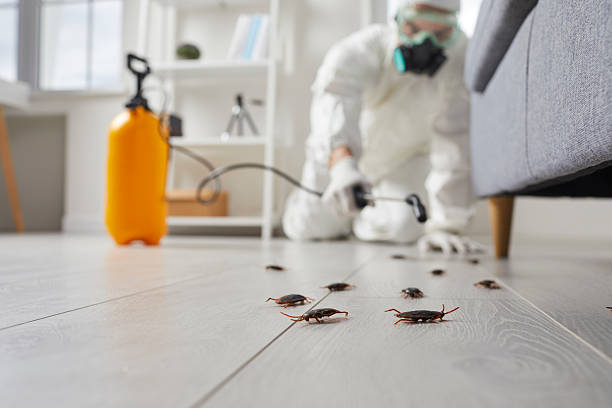Commercial Kitchen Cockroach Control in Belle Plaine